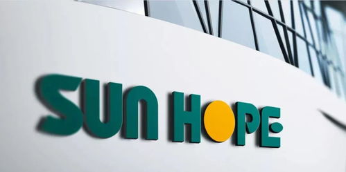 12.2億美元 強(qiáng)磁場 大閔行又簽下6個(gè)外資大項(xiàng)目